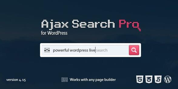 Ajax Search Pro v4.26.15（已汉化）  – 实时WordPress搜索和过滤器插件