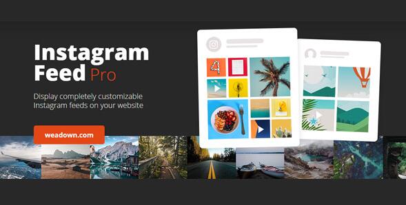 Instagram Feed Pro v6.0.4 - Instagram Feeds WordPress插件