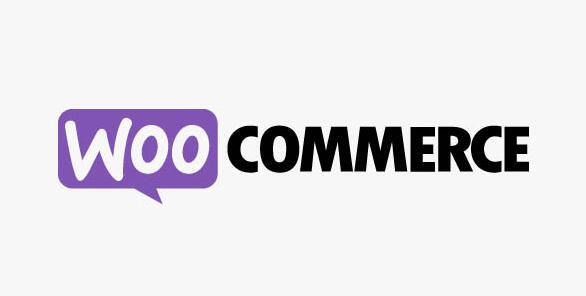 WooCommerce Product Add-Ons v4.9.0 - WooCommerce 产品附加插件