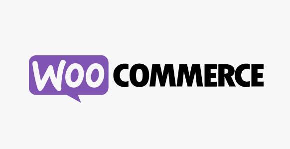 WooCommerce Group Coupons v2.8.0（已汉化）