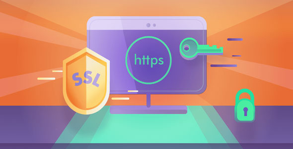 Really Simple SSL Pro v8.2.4（已汉化） - WordPress SSL插件高级版