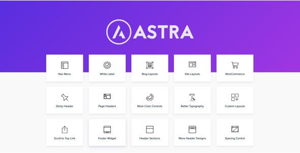 Astra Pro v4.8.1（已汉化）–使用Pro插件扩展Astra主题