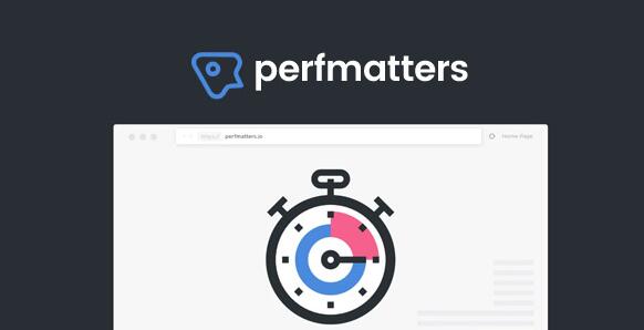 Perfmatters v2.3.2免激活版（已汉化） - WordPress性能优化插件