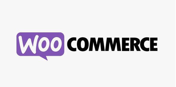 WooCommerce Instagram v4.6.1破解版（已汉化） - WooCommerce在Instagram展示产品插件