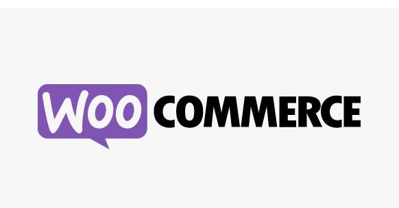 WooCommerce Google Product Feed v10.6.0破解版