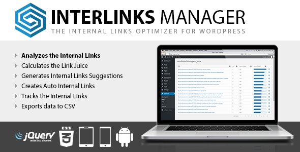 Interlinks Manager v1.29破解版（已汉化） – WordPress内链优化插件