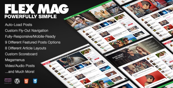 Flex Mag v3.5.2 - WordPress 新闻和杂志主题