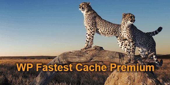 WP Fastest Cache Premium v1.6.2破解版（已汉化） – WordPress缓存插件