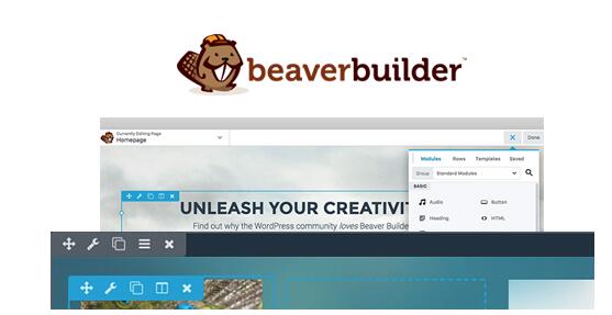 Beaver Builder Professional v2.8.3.3破解版（已汉化） - 页面构建器插件