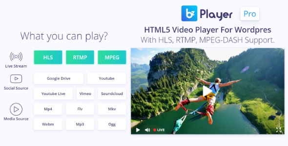 bzplayer Pro v2.1 - WordPress 实时流媒体播放器插件