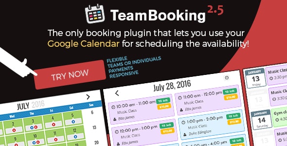 Team Booking v3.0.8（已汉化） – WordPress预订系统