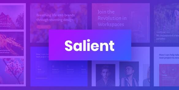 Salient v17.0.3 – WordPress响应式多用途主题