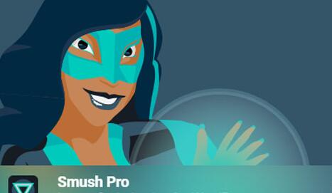 WP Smush Pro v3.16.9（已汉化）– WordPress图像优化插件