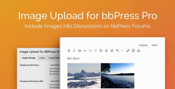 Image Upload for bbPress Pro v2.1.33破解版（独家汉化版）