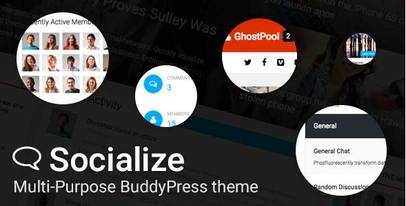 Socialize v2.43破解版（已汉化） –WordPress社交平台主题