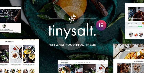 TinySalt v3.0.0 -   WordPress个人美食博客主题