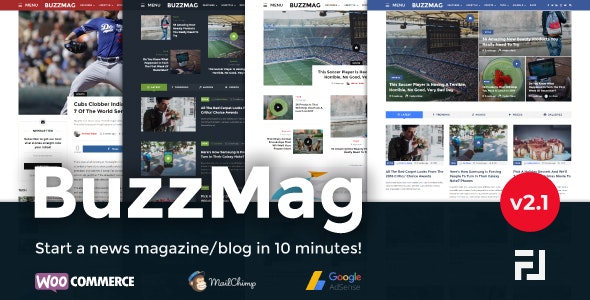 BuzzMag v2.1 - WordPress 杂志/博客主题