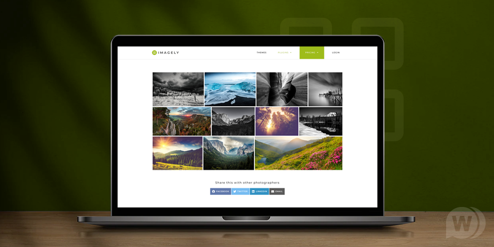 NextGEN Pro Gallery v3.21.0（已汉化） - WordPress 画廊插件